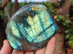 Polished Labradorite Standing Display Piece x 2 From Madagascar - Toprock Gemstones and Minerals 