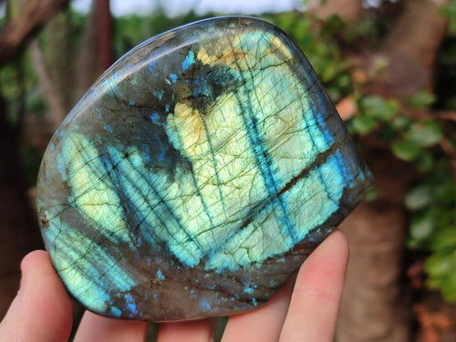 Polished Labradorite Standing Display Piece x 2 From Madagascar - Toprock Gemstones and Minerals 