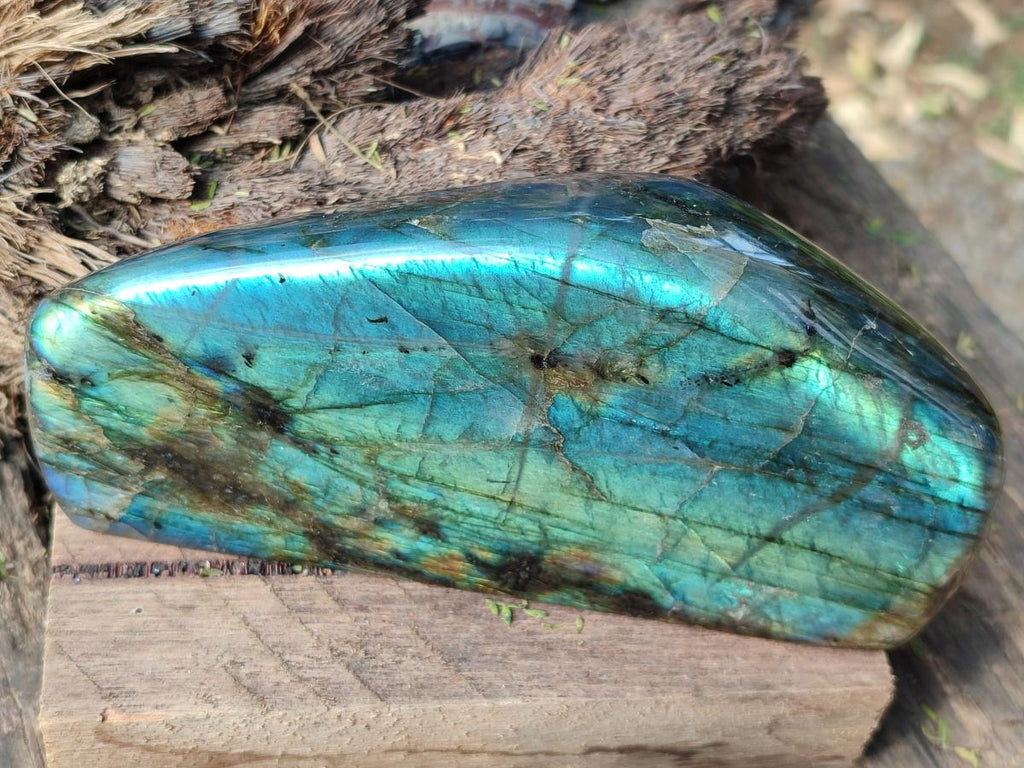 Polished Labradorite Standing Display Piece x 2 From Madagascar - Toprock Gemstones and Minerals 