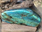 Polished Labradorite Standing Display Piece x 2 From Madagascar - Toprock Gemstones and Minerals 