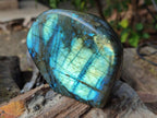 Polished Labradorite Standing Display Piece x 2 From Madagascar - Toprock Gemstones and Minerals 