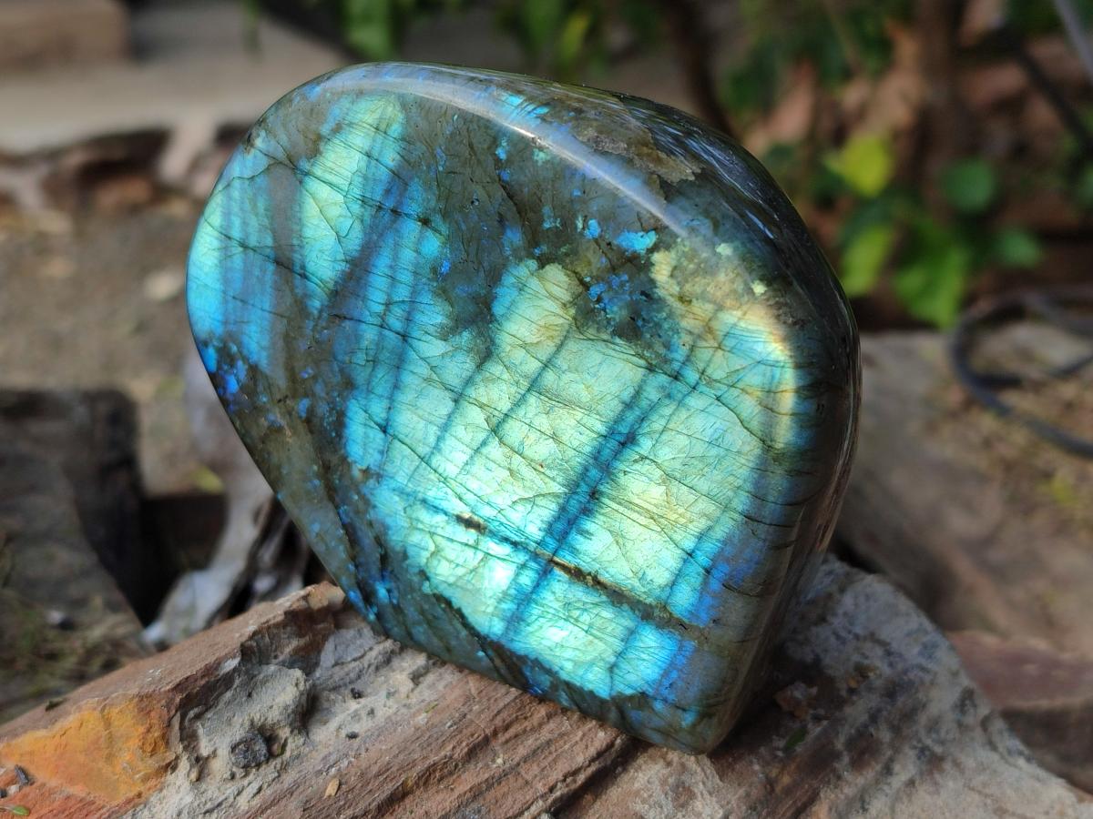 Polished Labradorite Standing Display Piece x 2 From Madagascar - Toprock Gemstones and Minerals 