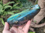 Polished Labradorite Standing Display Piece x 2 From Madagascar - Toprock Gemstones and Minerals 