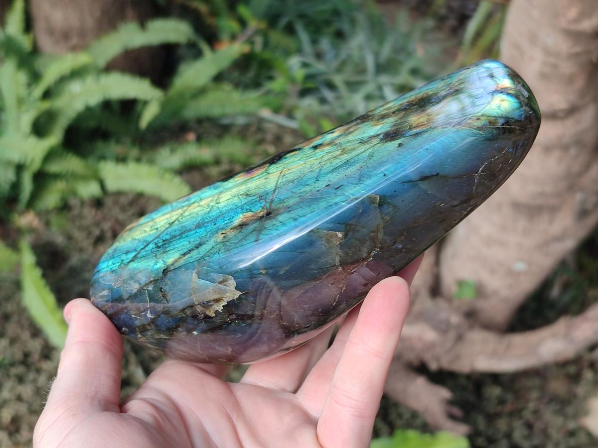 Polished Labradorite Standing Display Piece x 2 From Madagascar - Toprock Gemstones and Minerals 