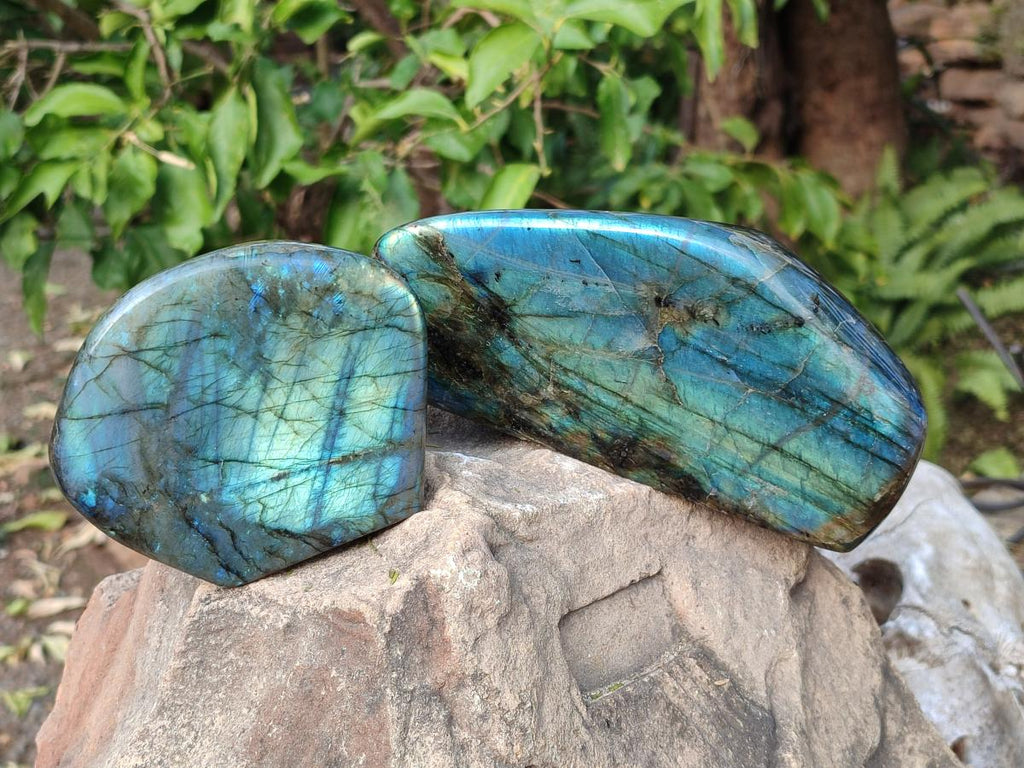 Polished Labradorite Standing Display Piece x 2 From Madagascar - Toprock Gemstones and Minerals 