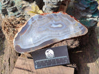 Polished Banded Agate Slices with Natural Edging x 6 From Madagascar - Toprock Gemstones and Minerals 