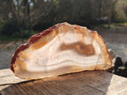 Polished Banded Agate Slices with Natural Edging x 6 From Madagascar - Toprock Gemstones and Minerals 