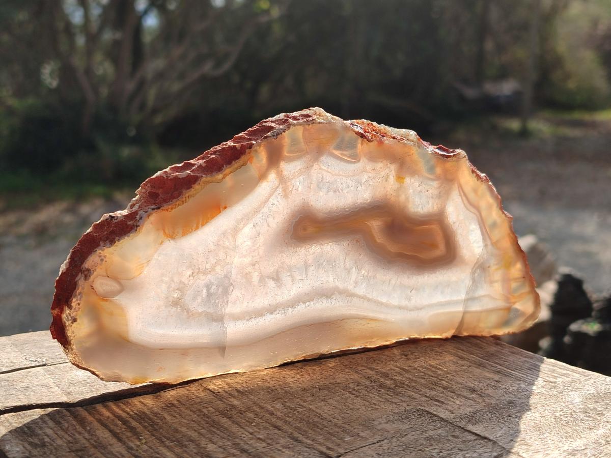 Polished Banded Agate Slices with Natural Edging x 6 From Madagascar - Toprock Gemstones and Minerals 