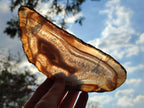 Polished Banded Agate Slices with Natural Edging x 6 From Madagascar - Toprock Gemstones and Minerals 
