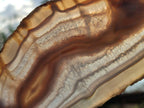 Polished Banded Agate Slices with Natural Edging x 6 From Madagascar - Toprock Gemstones and Minerals 