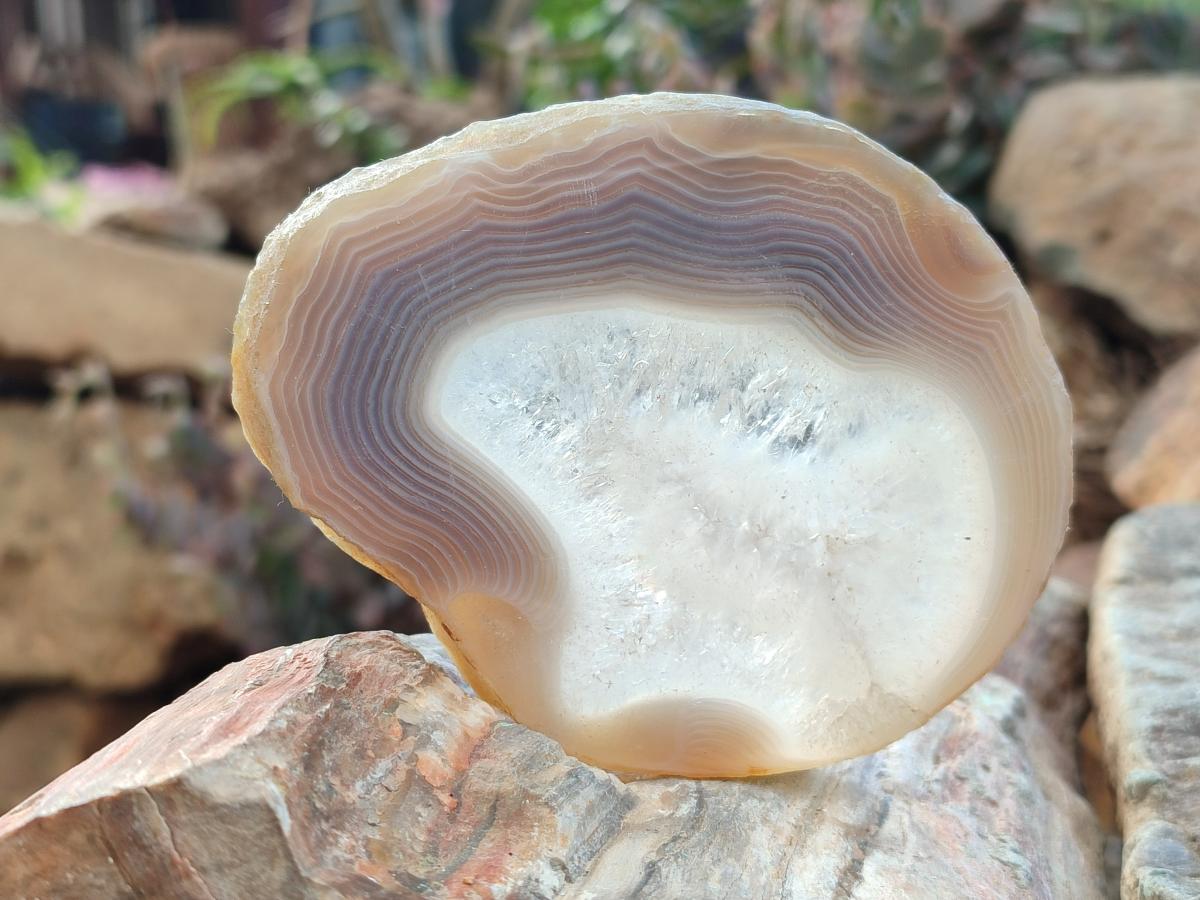 Polished Banded Agate Slices with Natural Edging x 6 From Madagascar - Toprock Gemstones and Minerals 