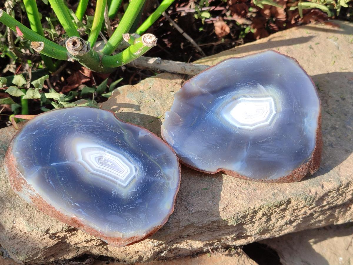 Polished Banded Agate Slices with Natural Edging x 6 From Madagascar - Toprock Gemstones and Minerals 