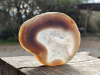 Polished Banded Agate Slices with Natural Edging x 6 From Madagascar - Toprock Gemstones and Minerals 