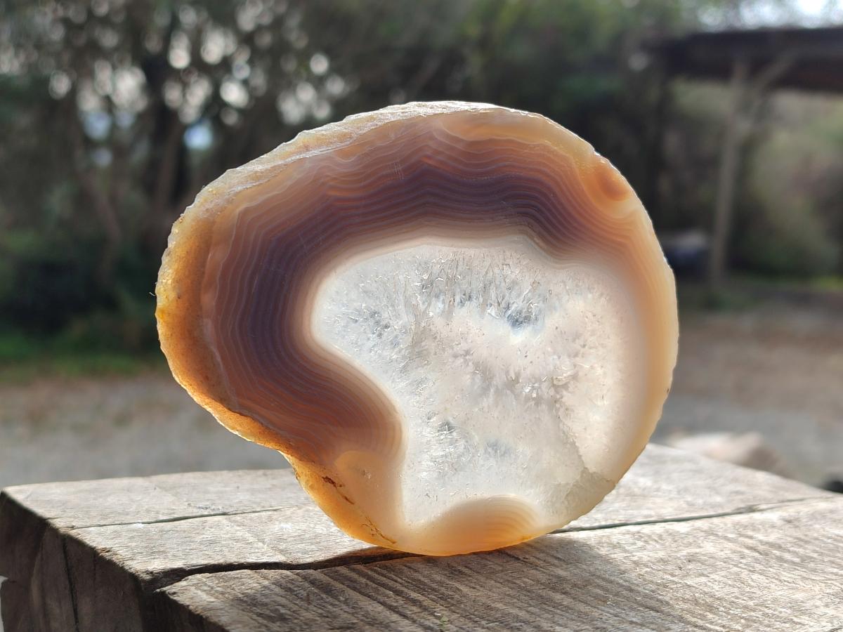 Polished Banded Agate Slices with Natural Edging x 6 From Madagascar - Toprock Gemstones and Minerals 