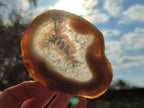 Polished Banded Agate Slices with Natural Edging x 6 From Madagascar - Toprock Gemstones and Minerals 