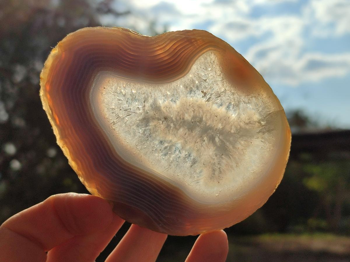 Polished Banded Agate Slices with Natural Edging x 6 From Madagascar - Toprock Gemstones and Minerals 