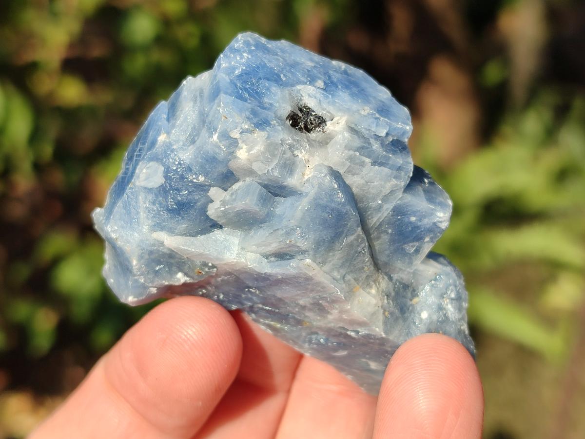 Natural Sky Blue Calcite Specimens with Antimony inclusions x 35 From Spitzkop, Namibia - Toprock Gemstones and Minerals 