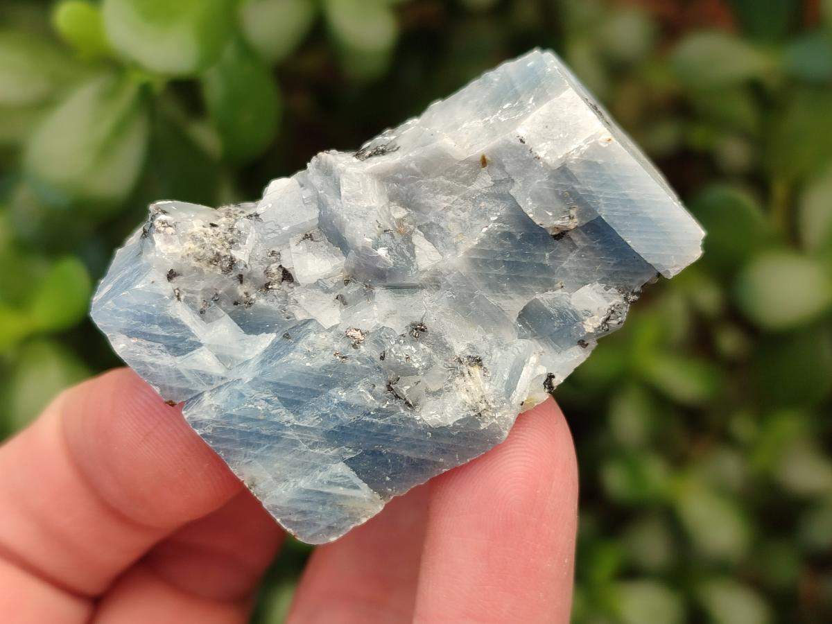 Natural Sky Blue Calcite Specimens with Antimony inclusions x 35 From Spitzkop, Namibia - Toprock Gemstones and Minerals 