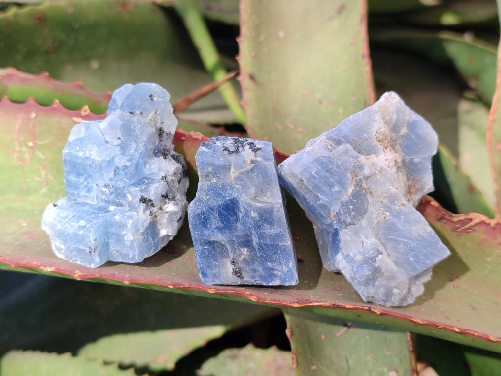 Natural Sky Blue Calcite Specimens with Antimony inclusions x 35 From Spitzkop, Namibia - Toprock Gemstones and Minerals 