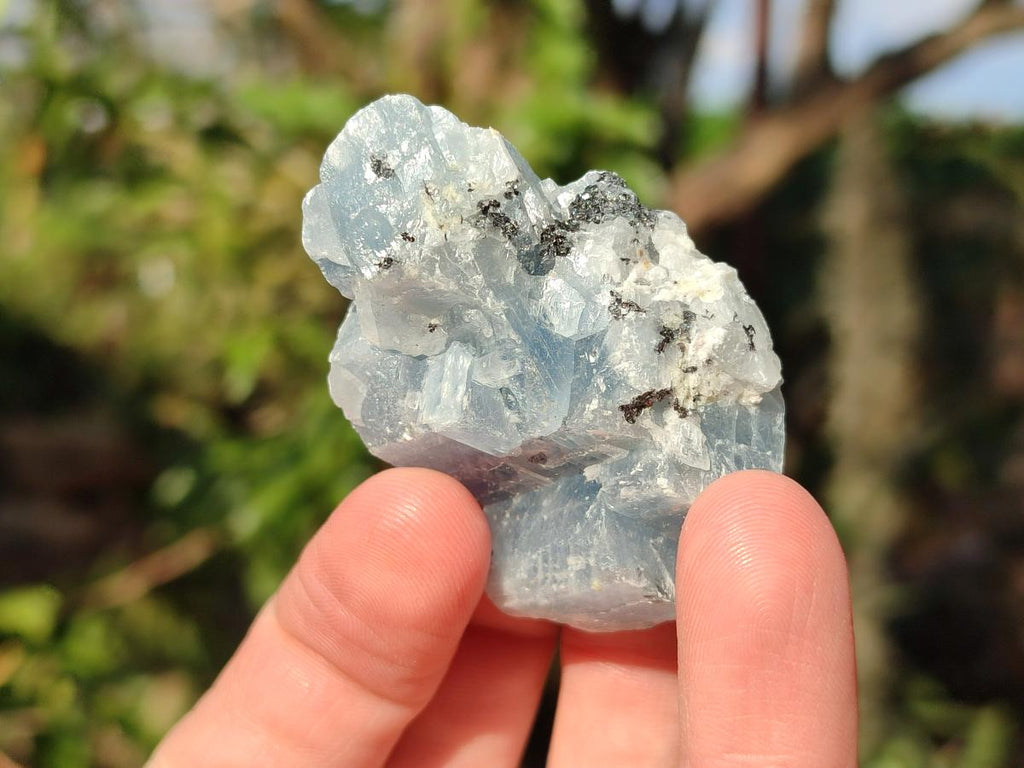Natural Sky Blue Calcite Specimens with Antimony inclusions x 35 From Spitzkop, Namibia - Toprock Gemstones and Minerals 