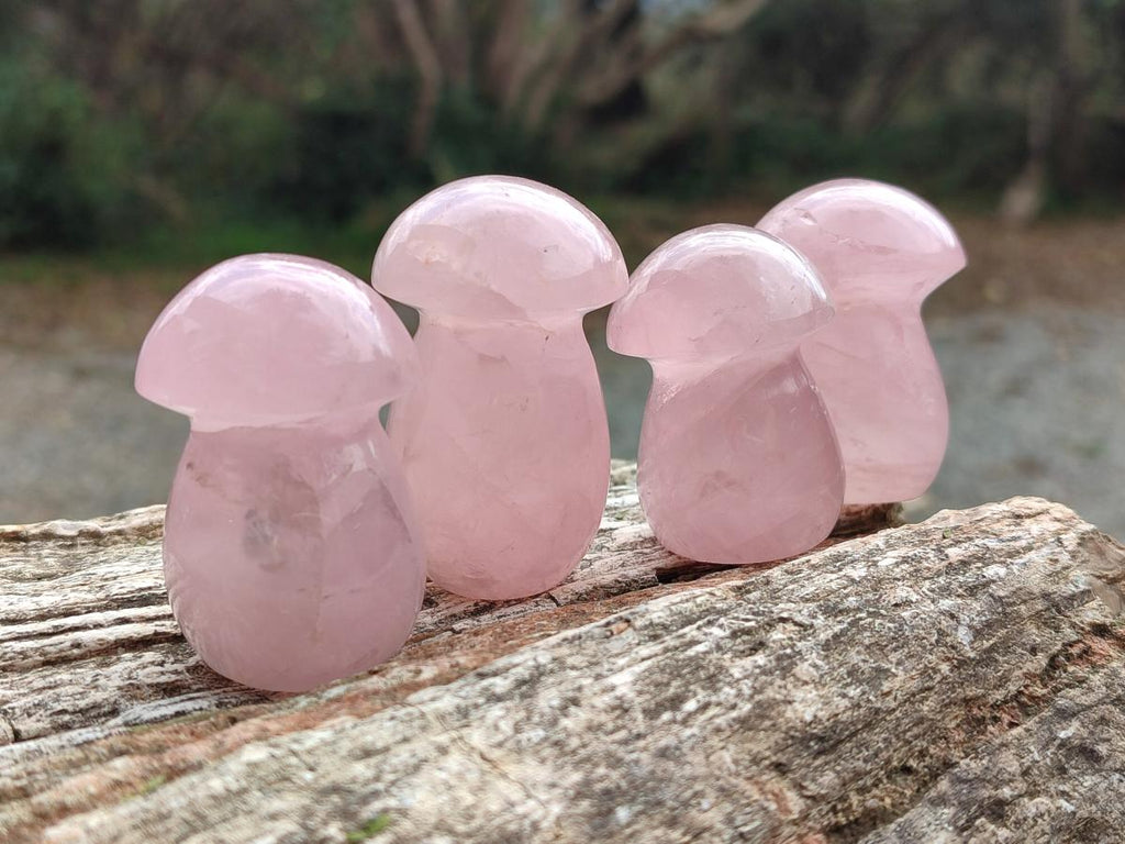 Polished Gemmy Rose Quartz Mushrooms x 24 From Madagascar - Toprock Gemstones and Minerals 
