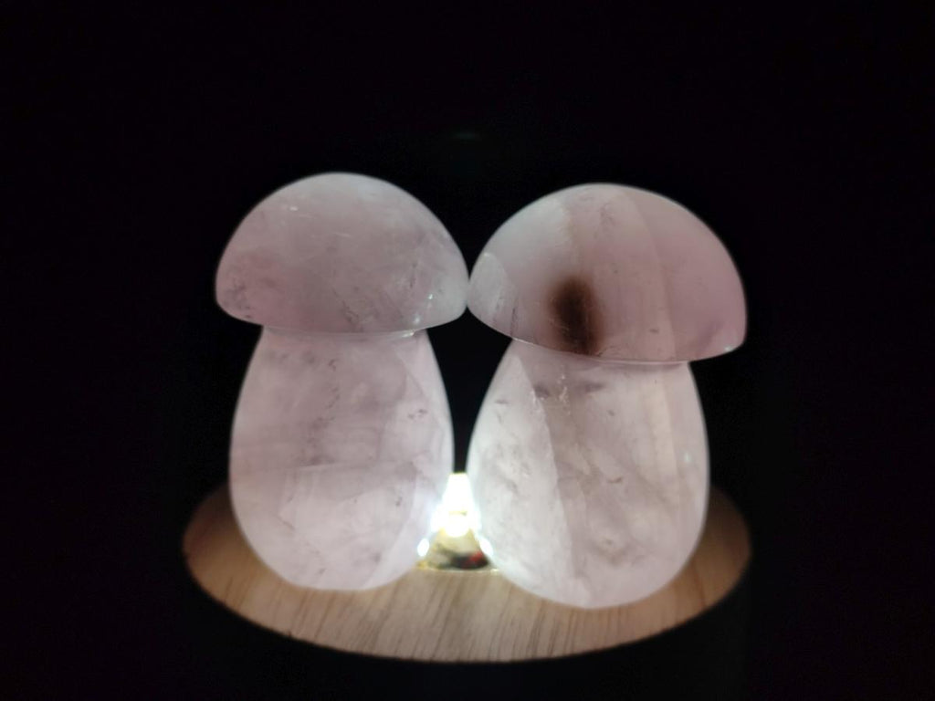 Polished Gemmy Rose Quartz Mushrooms x 24 From Madagascar - Toprock Gemstones and Minerals 