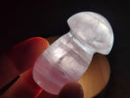 Polished Gemmy Rose Quartz Mushrooms x 24 From Madagascar - Toprock Gemstones and Minerals 