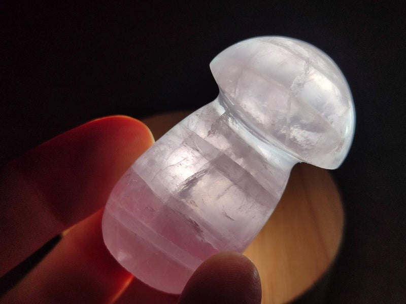 Polished Gemmy Rose Quartz Mushrooms x 24 From Madagascar - Toprock Gemstones and Minerals 