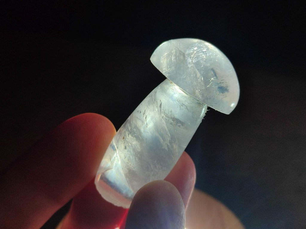 Polished Gemmy Rose Quartz Mushrooms x 24 From Madagascar - Toprock Gemstones and Minerals 