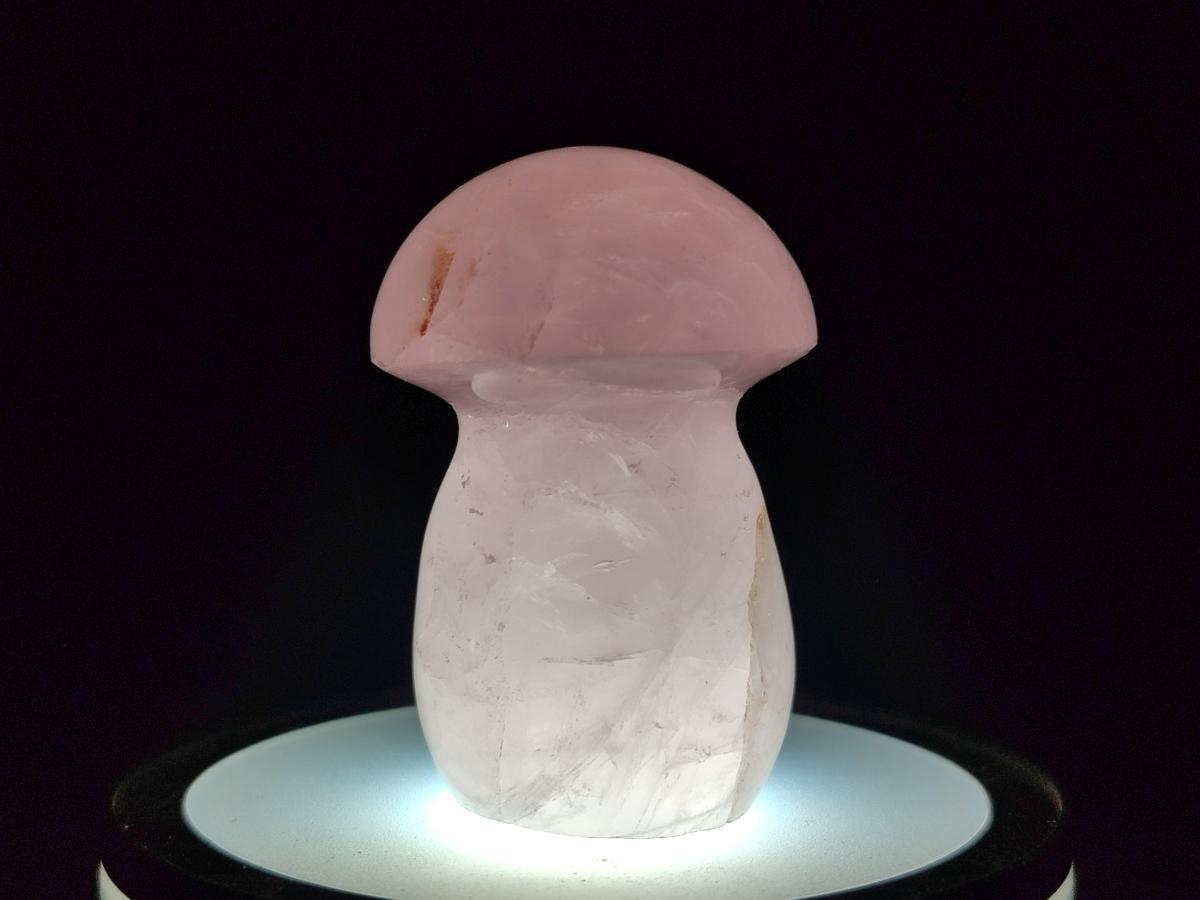 Polished Gemmy Rose Quartz Mushrooms x 24 From Madagascar - Toprock Gemstones and Minerals 