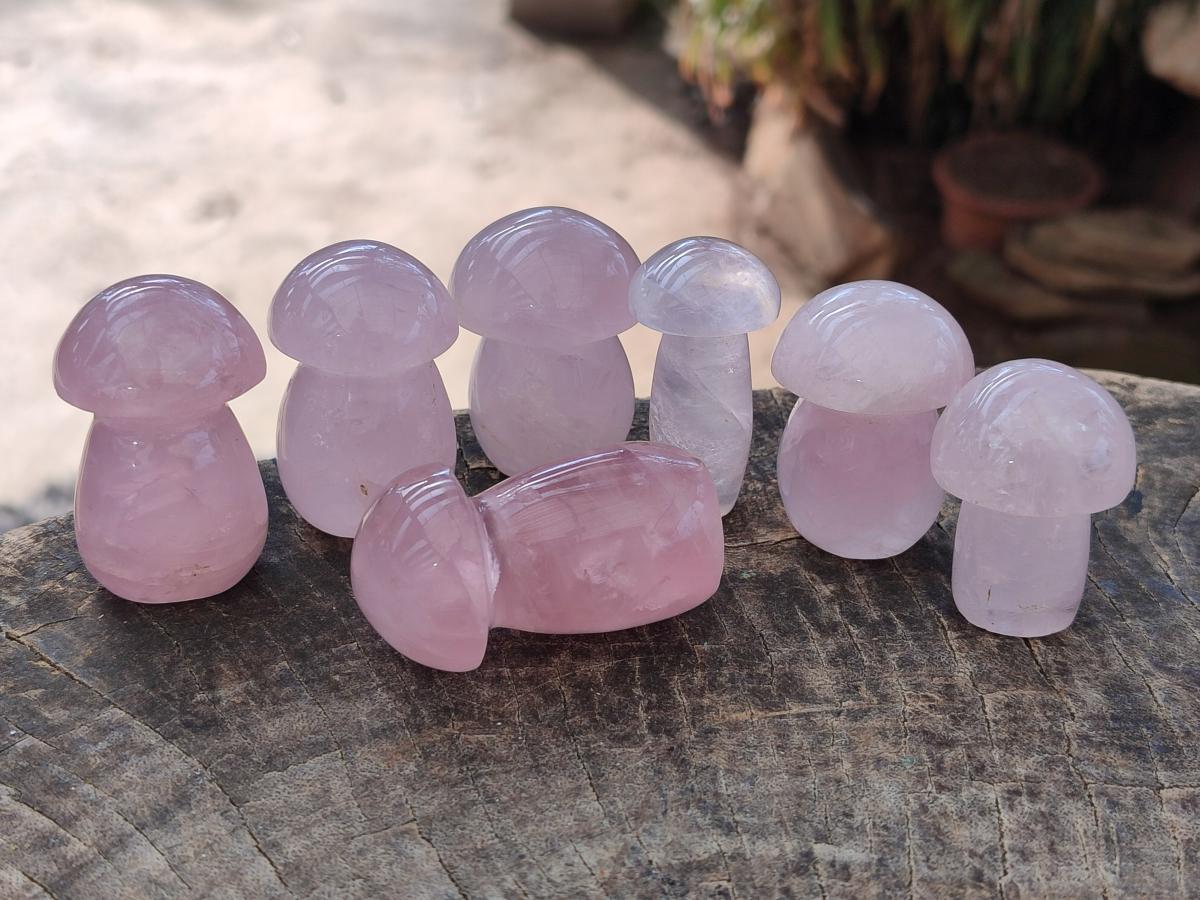 Polished Gemmy Rose Quartz Mushrooms x 24 From Madagascar - Toprock Gemstones and Minerals 