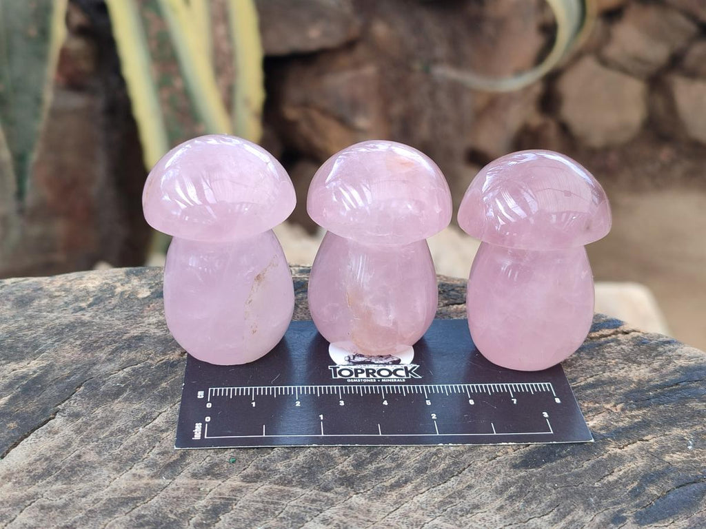 Polished Gemmy Rose Quartz Mushrooms x 24 From Madagascar - Toprock Gemstones and Minerals 