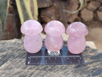 Polished Gemmy Rose Quartz Mushrooms x 24 From Madagascar - Toprock Gemstones and Minerals 