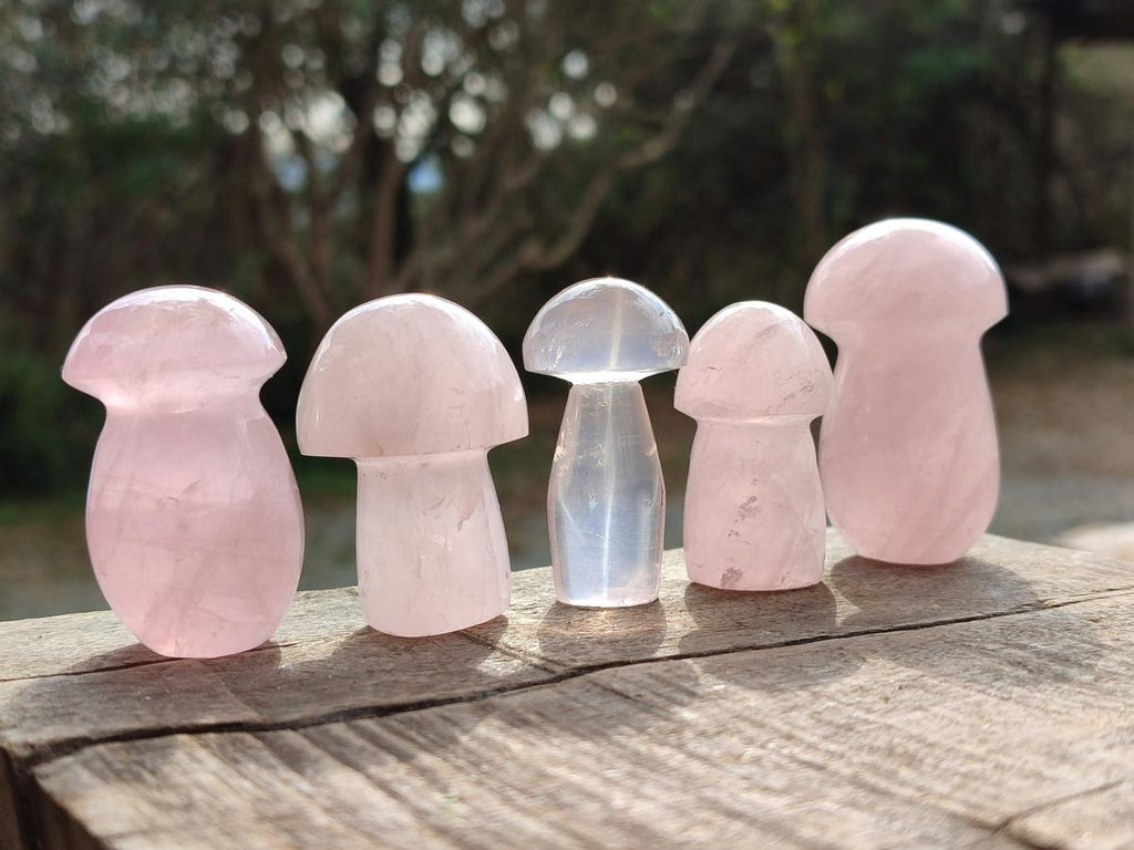 Polished Gemmy Rose Quartz Mushrooms x 24 From Madagascar - Toprock Gemstones and Minerals 