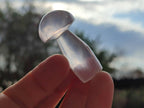 Polished Gemmy Rose Quartz Mushrooms x 24 From Madagascar - Toprock Gemstones and Minerals 