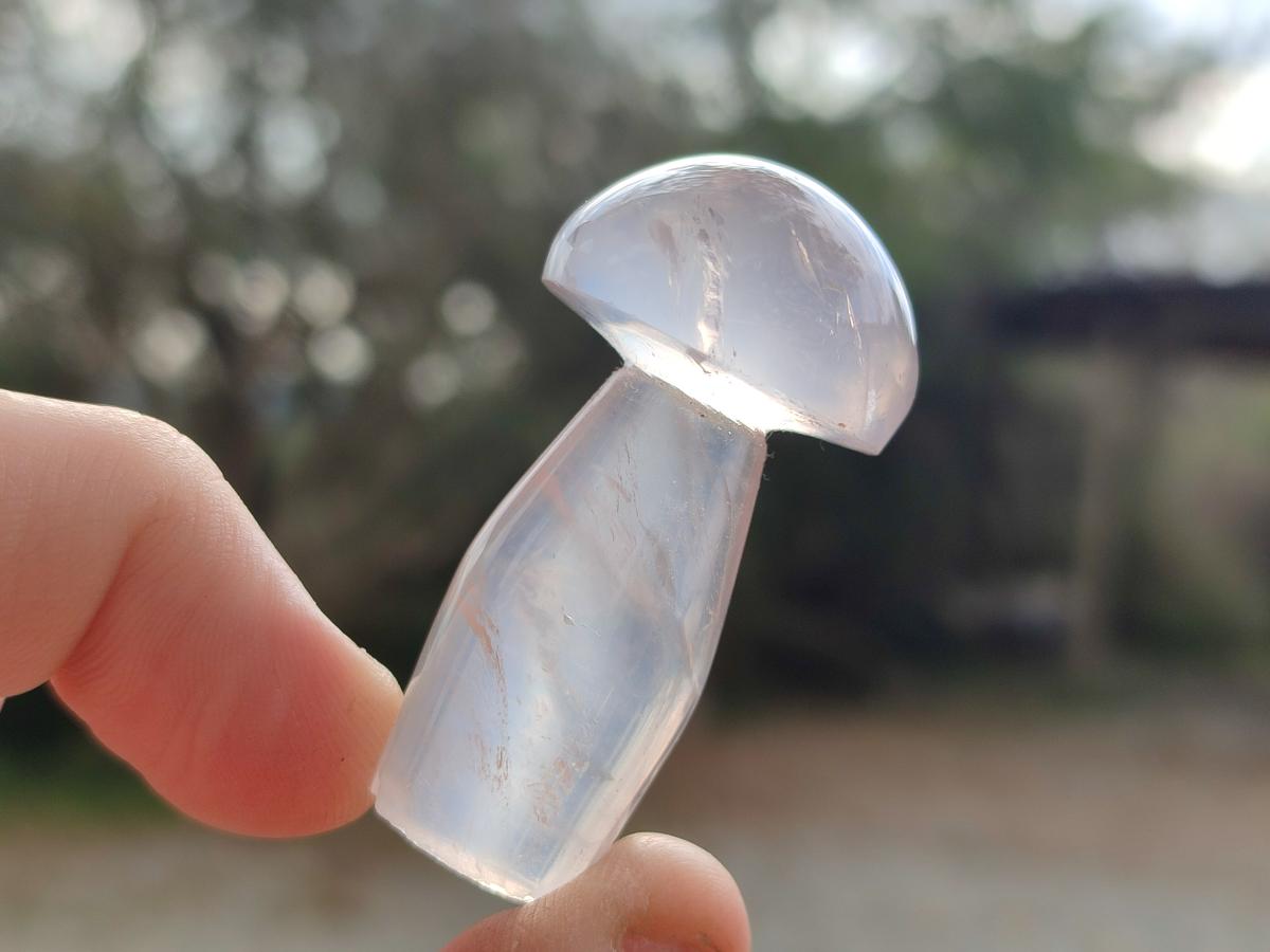 Polished Gemmy Rose Quartz Mushrooms x 24 From Madagascar - Toprock Gemstones and Minerals 