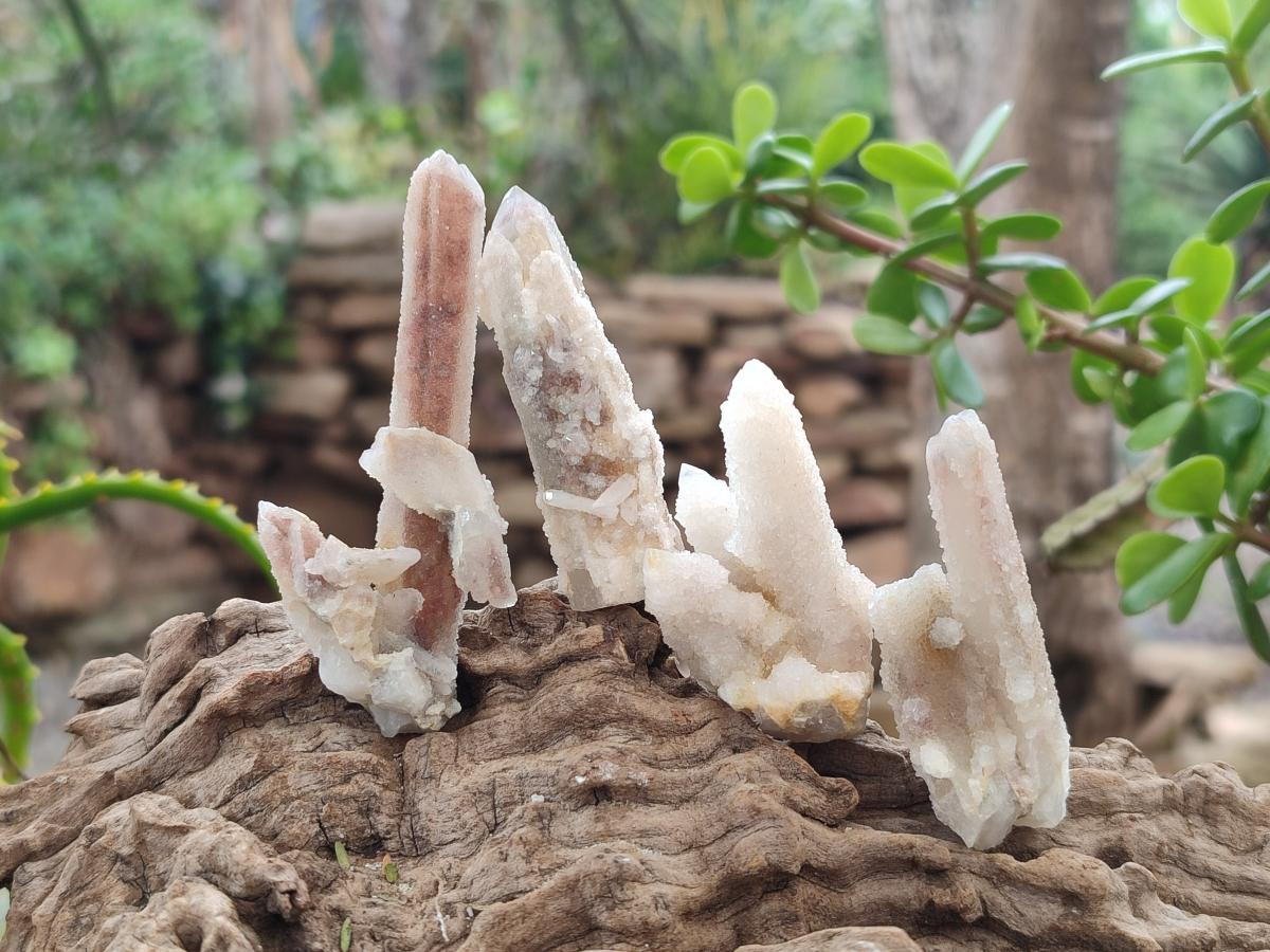 Natural Drusy Fairy Spirit Quartz Crystals x 70 From Boekenhouthoek, South Africa - Toprock Gemstones and Minerals 