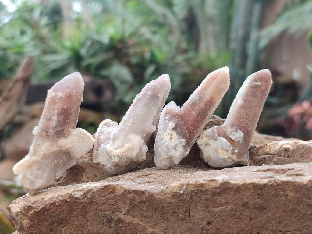 Natural Drusy Fairy Spirit Quartz Crystals x 70 From Boekenhouthoek, South Africa - Toprock Gemstones and Minerals 