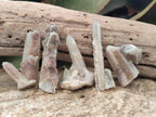 Natural Drusy Fairy Spirit Quartz Crystals x 70 From Boekenhouthoek, South Africa - Toprock Gemstones and Minerals 