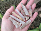 Natural Drusy Fairy Spirit Quartz Crystals x 70 From Boekenhouthoek, South Africa - Toprock Gemstones and Minerals 