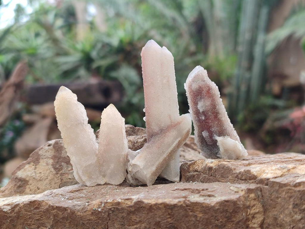 Natural Drusy Fairy Spirit Quartz Crystals x 70 From Boekenhouthoek, South Africa - Toprock Gemstones and Minerals 