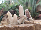 Natural Drusy Fairy Spirit Quartz Crystals x 70 From Boekenhouthoek, South Africa - Toprock Gemstones and Minerals 