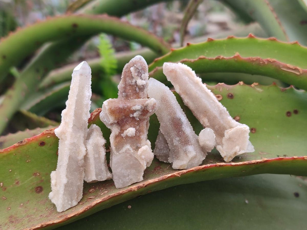 Natural Drusy Fairy Spirit Quartz Crystals x 70 From Boekenhouthoek, South Africa - Toprock Gemstones and Minerals 
