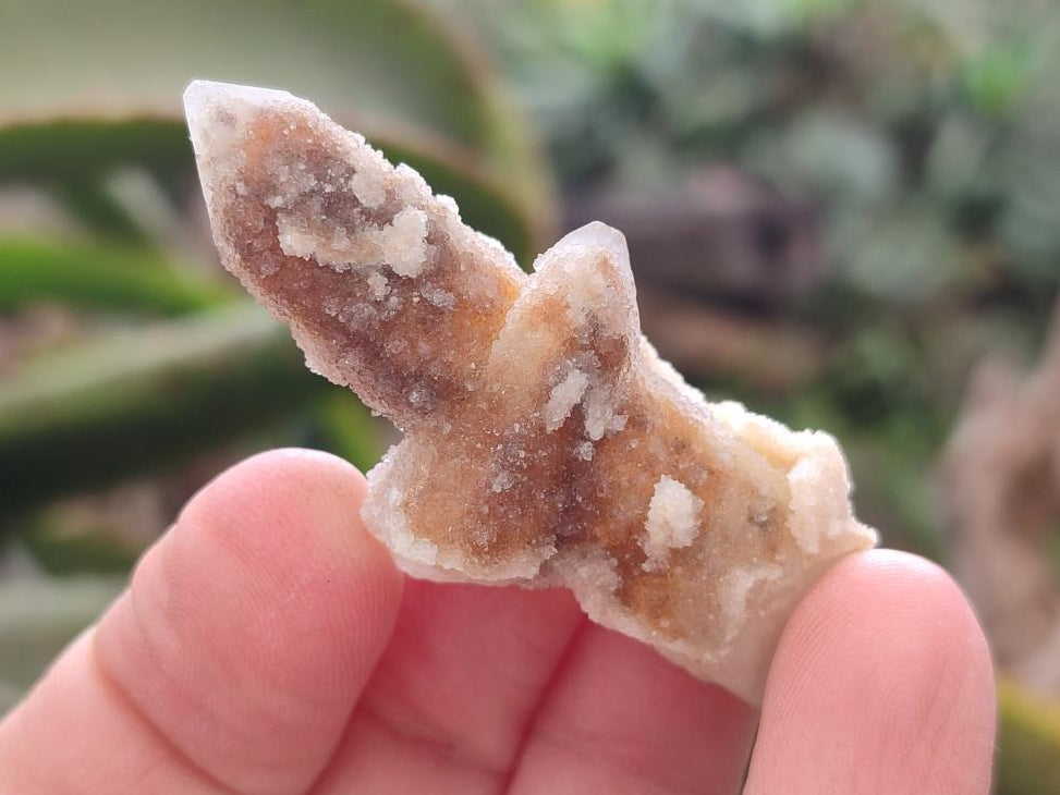 Natural Drusy Fairy Spirit Quartz Crystals x 70 From Boekenhouthoek, South Africa - Toprock Gemstones and Minerals 