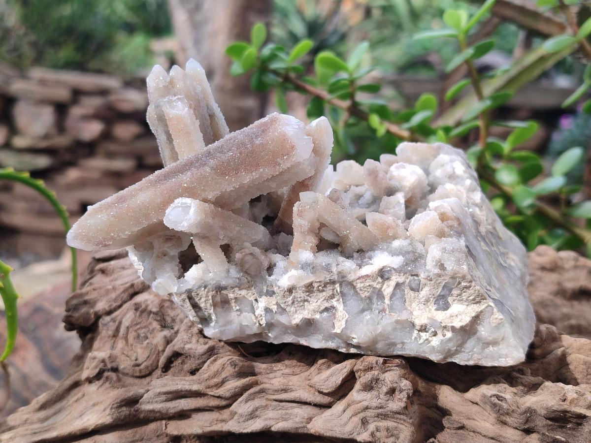 Natural Drusy Fairy Spirit Quartz Clusters x 3 From Boekenhouthoek, South Africa - Toprock Gemstones and Minerals 