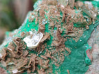 Natural Rare Bladed Barite with Malachite Specimens x 3 From Shangulowé Mine, Congo - Toprock Gemstones and Minerals 