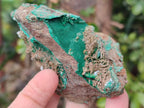 Natural Rare Bladed Barite with Malachite Specimens x 3 From Shangulowé Mine, Congo - Toprock Gemstones and Minerals 
