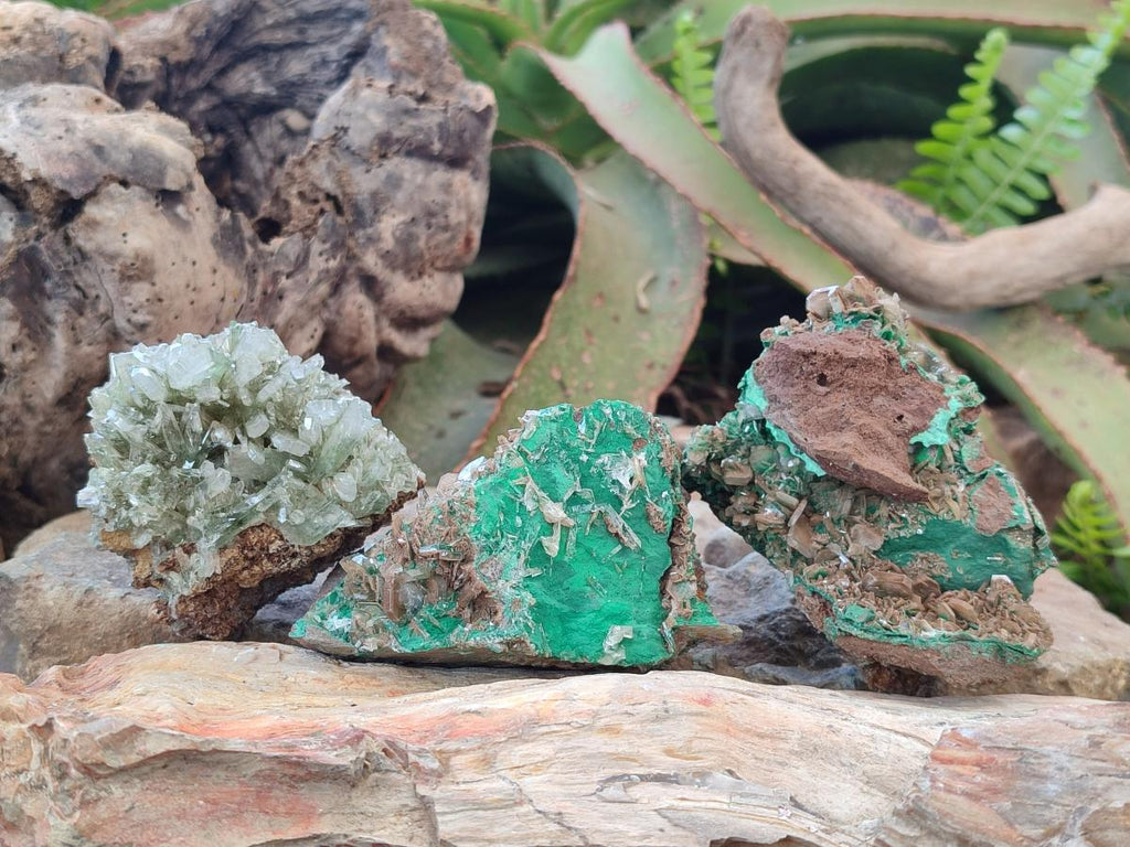 Natural Rare Bladed Barite with Malachite Specimens x 3 From Shangulowé Mine, Congo - Toprock Gemstones and Minerals 