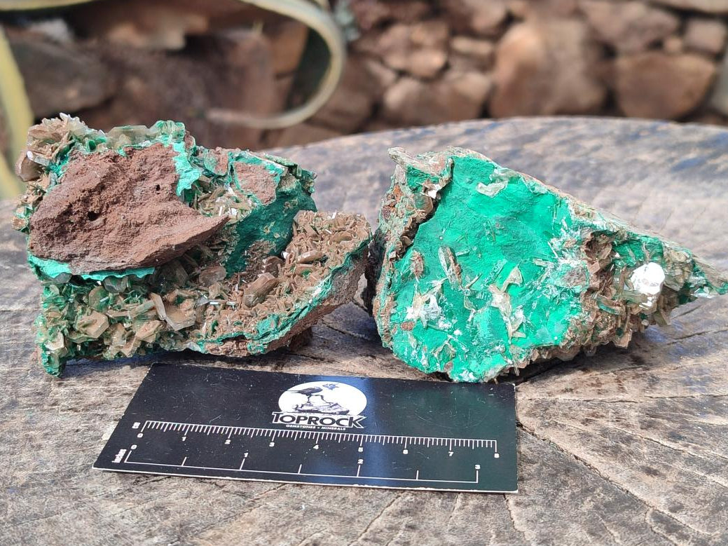 Natural Rare Bladed Barite with Malachite Specimens x 3 From Shangulowé Mine, Congo - Toprock Gemstones and Minerals 