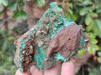 Natural Rare Bladed Barite with Malachite Specimens x 3 From Shangulowé Mine, Congo - Toprock Gemstones and Minerals 